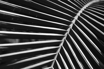 abstract background with lines