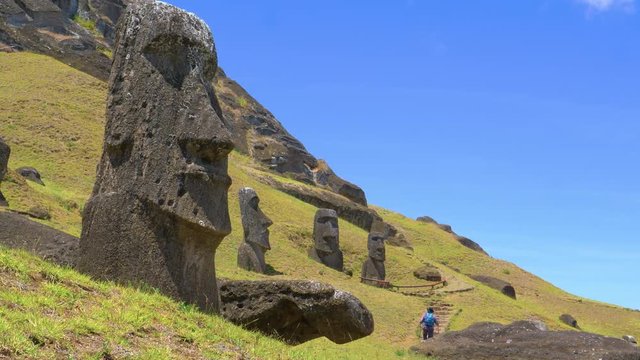 AERIAL: Unrecognizable tourist walks along a trail running past mysterious moai statues. Traveler explores the scenic sights of old volcanic island full of fascinating human face shaped sculptures.