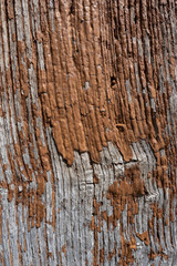 wood painted old texture