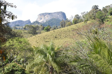 Montanha alta na floresta