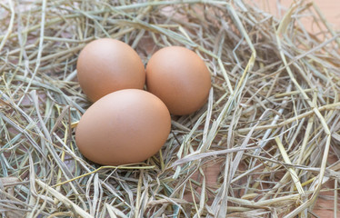 Close up chicken eggs on straw with wooden.Fresh eggs from farm for cooking high nutrition healthy food with blurred background.