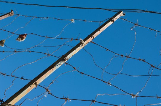 121 Beste Drahtzaune Bilder Stock Fotos Vektorgrafiken Adobe Stock