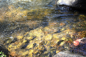 Pedras dentro do rio 