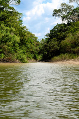 river jungle nature sky clouds green trees