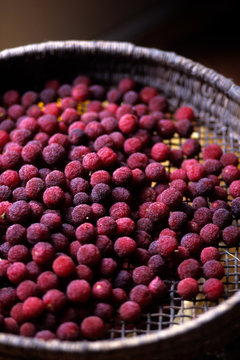 日本の伝統食品、ヤマモモのアイスキャンデー、加工中のヤマモモ