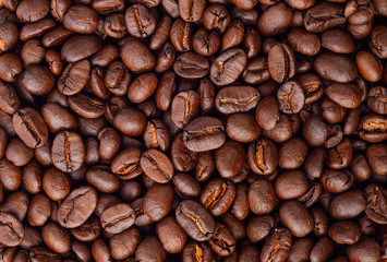 Roasted coffee bean on white background