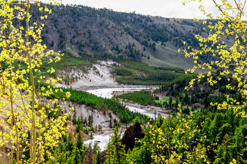 Yellowstone River, Yellowstone National Park, Wyoming_DSC3293