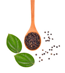 Black Pepper on white background