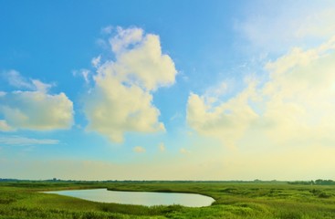 風景　晩夏　渡良瀬　空　沼　杤木