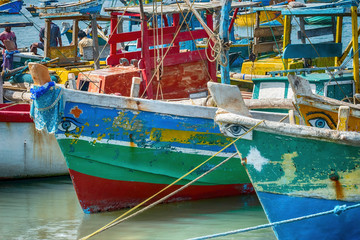 Fototapeta na wymiar Fishing Boats, Jaffna, Sri Lanka