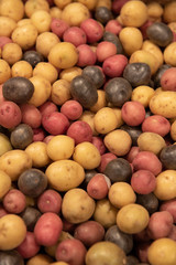 small multi colored potatoes