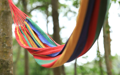 Relaxing in hammock with in forest
