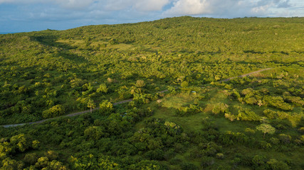 Fototapeta na wymiar Beautiful aerial view of road between forests