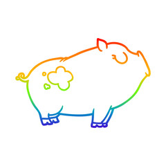 rainbow gradient line drawing cartoon pig