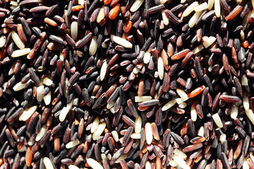 close up of mix rice grain