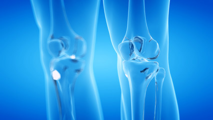 3d rendered illustration of the human, skeletal knee