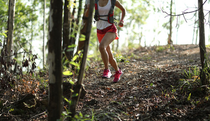 Young fitness woman ultramarathon trail runner running in summer forest