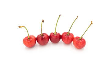 5 fresh cherries neatly arranged in a row on a white background