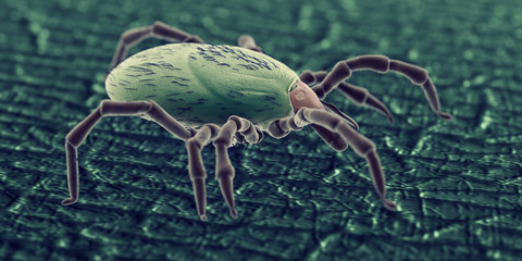 3d rendered illustration of a tick on human skin, sem style