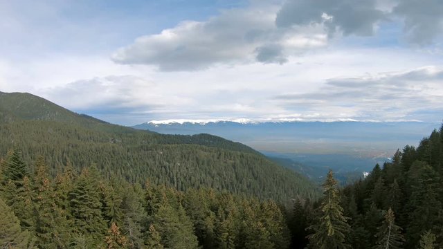 Low flying aerial shot in the Piring National forest park in Bulgaria just above and along the treetops. Lush green trees and blue sky during spring