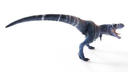 3d rendered illustration of a t-rex isolated on white