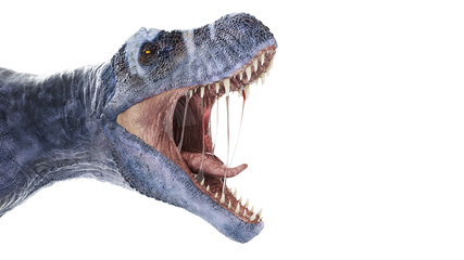 3d rendered illustration of a t-rex isolated on white