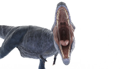 Obraz premium 3d rendered illustration of a t-rex isolated on white