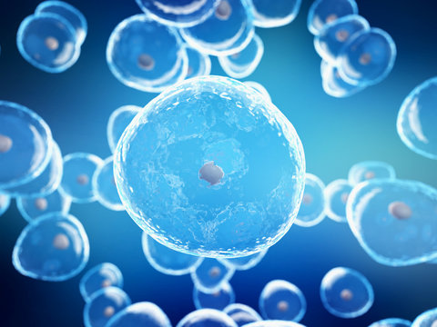 3d rendered illustration of generic human cells