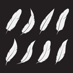 Vector group of white feather on white background. Easy editable layered vector illustration.