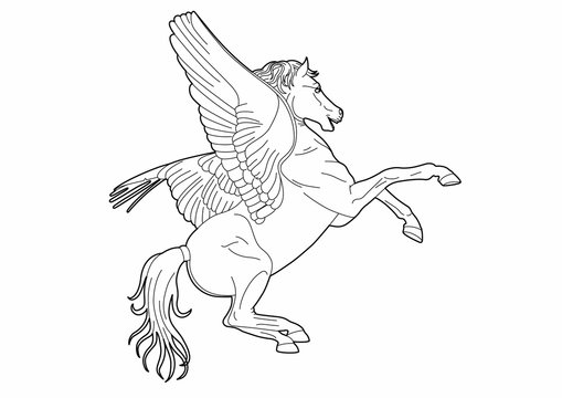 Drawing of a winged horse