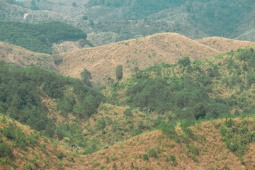 The valley has traces of deforestation.