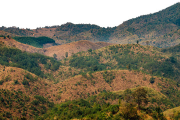 Fototapeta na wymiar The valley has traces of deforestation.
