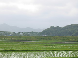 Fototapeta premium 田舎の風景