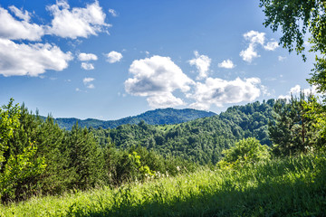 landscape in the mountains