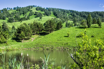 Fototapeta premium landscape in the mountains
