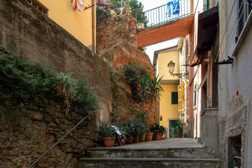 Fototapeta na wymiar Riomaggiore in Cinque Terre, Italy. Beautiful streets with flowers. Summer cityscape