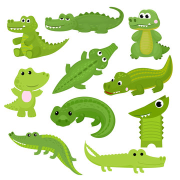 Crocodile vector cartoon crocodilian character of green alligator playing in kids playroom illustration animalistic childish set of funny predator isolated on white background