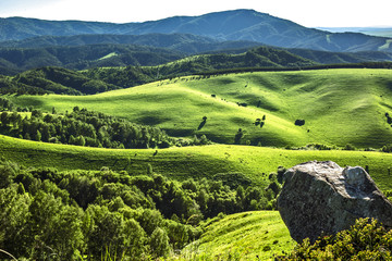 landscape in the mountains