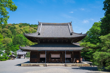 Fototapeta premium 京都 泉涌寺の仏殿 新緑