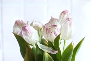 white faded flowers