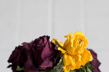 faded roses