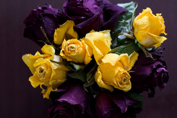 faded roses