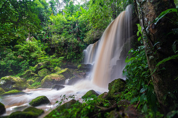 Refreshing green forest waterfall