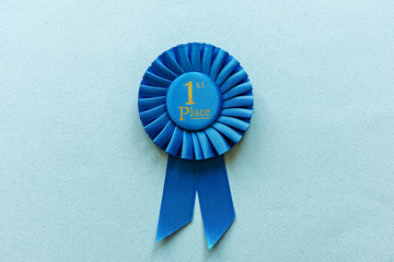 Champion or Winners 1st Place blue rosette