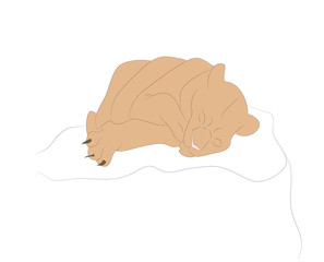 vector illustration of a lioness sleeping, drawing color
