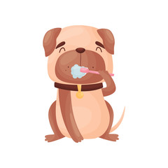 Cartoon pug cleans teeth. Vector illustration on white background.