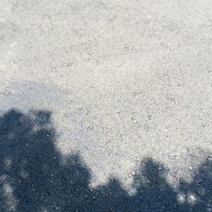 Tree shadow sunlight view nature background