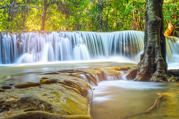 beautiful waterfall, forest background, landscape
