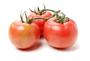 fresh tomato isolated on white background
