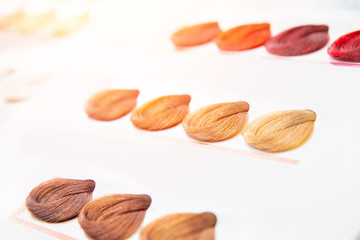 Hair palette dyed different colors. Hairstyle wig tints set for beauty industry